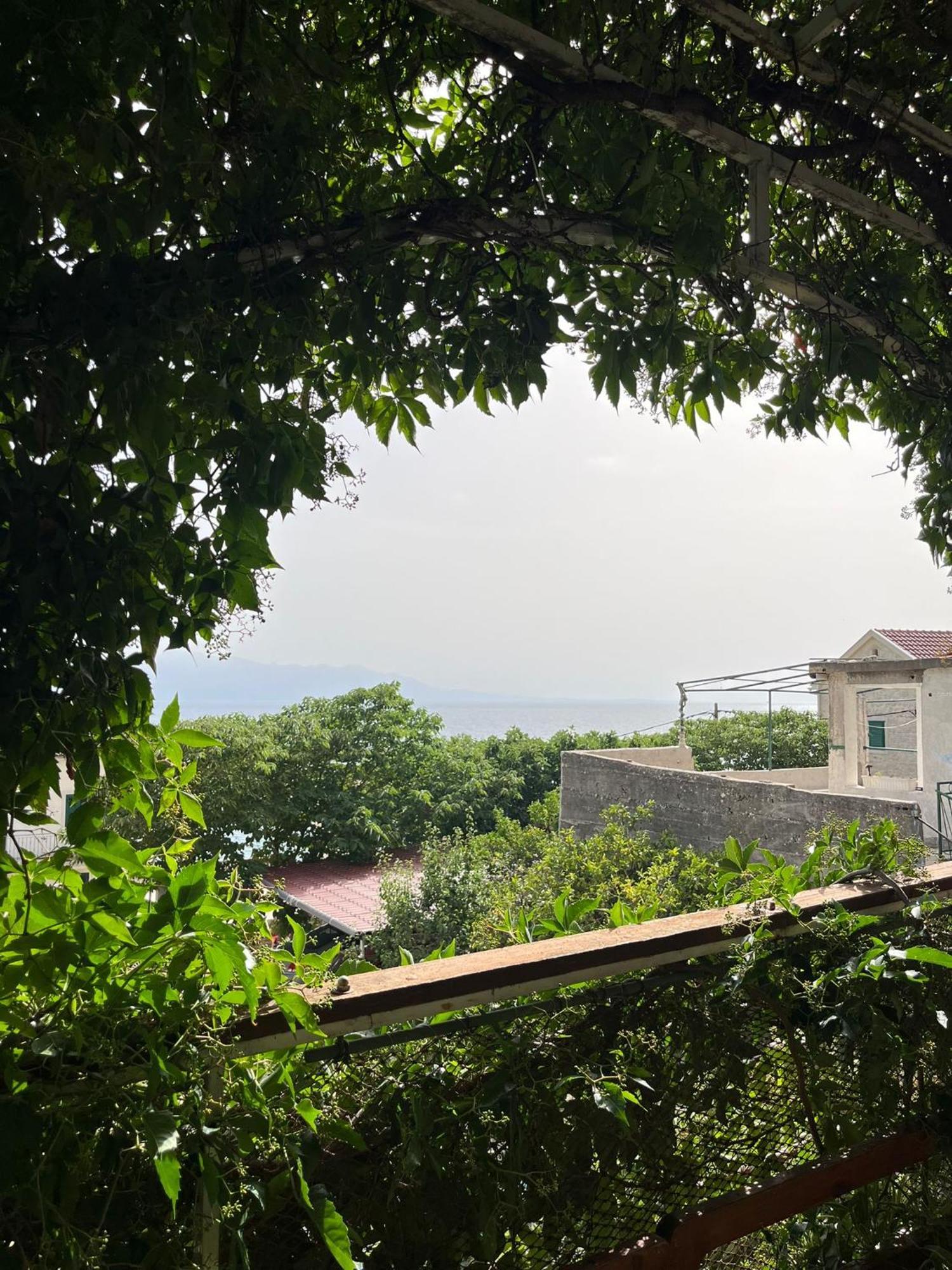 Apartmani Ankora Brist Rum bild